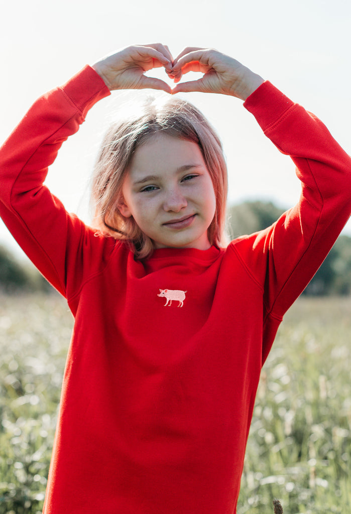 pig childrens sweatshirt Big Wild Thought