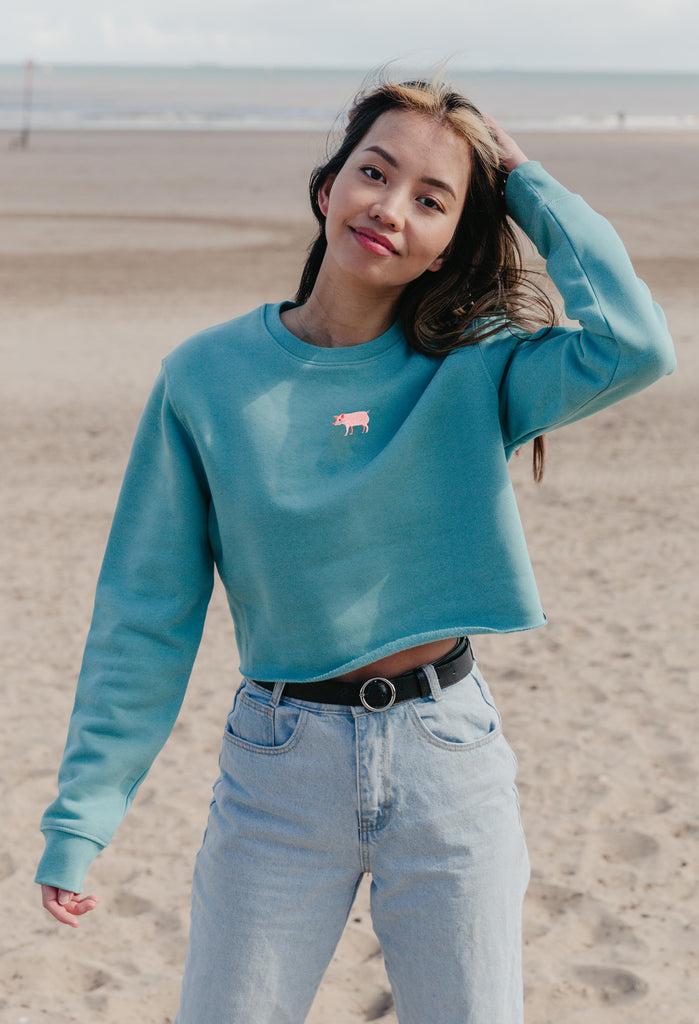 pig womens cropped sweatshirt Big Wild Thought