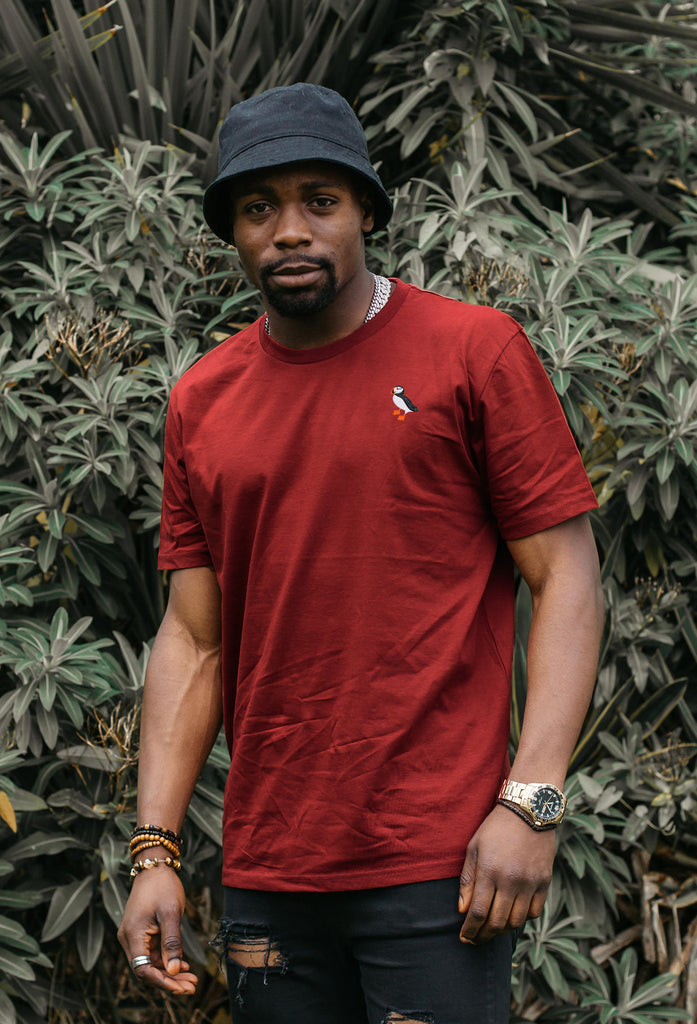 puffin mens t-shirt Big Wild Thought