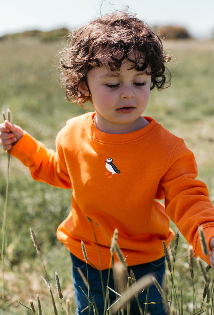 puffin childrens sweatshirt Big Wild Thought