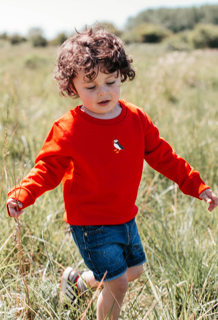puffin childrens sweatshirt Big Wild Thought