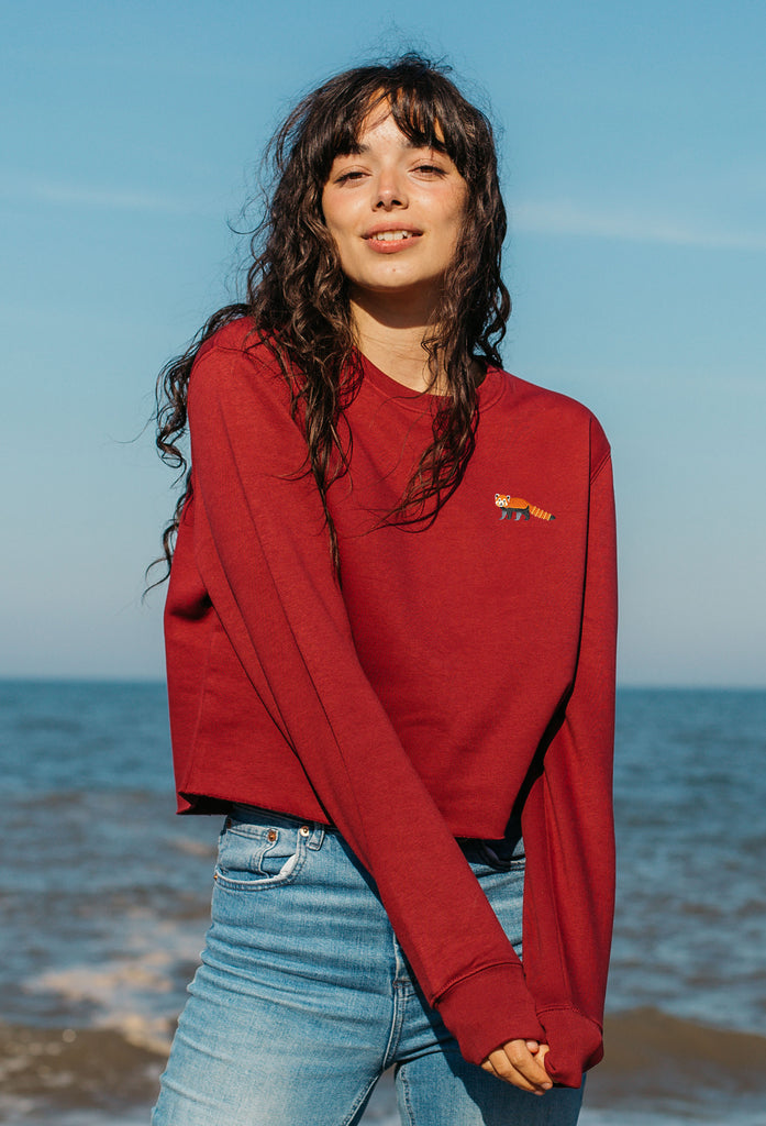 red panda womens cropped sweatshirt Big Wild Thought