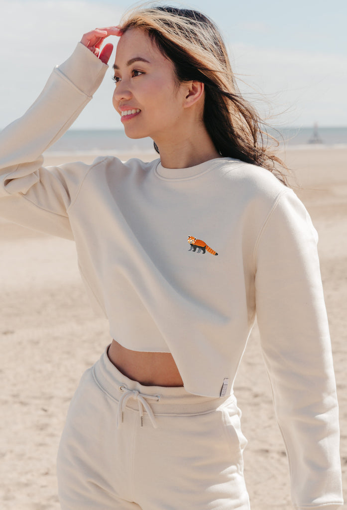 red panda womens cropped sweatshirt Big Wild Thought