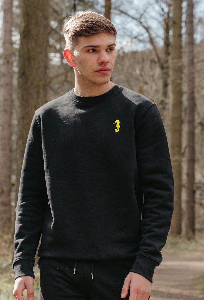 seahorse mens sweatshirt Big Wild Thought