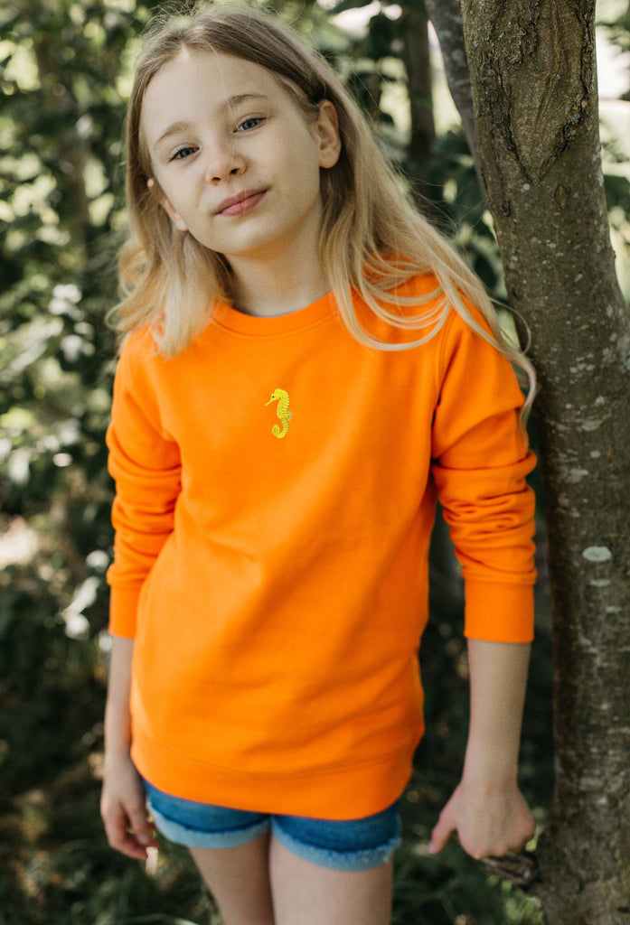 seahorse childrens sweatshirt Big Wild Thought