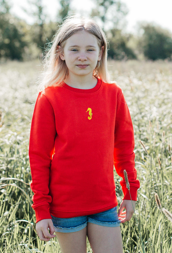 seahorse childrens sweatshirt Big Wild Thought