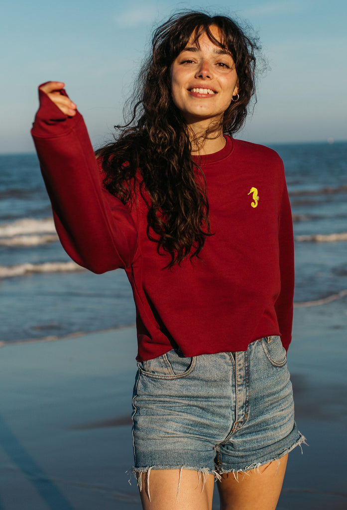 seahorse womens cropped sweatshirt Big Wild Thought