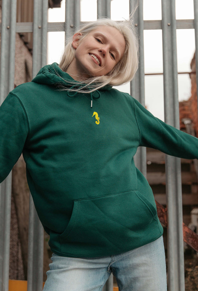 seahorse hoodie Big Wild Thought