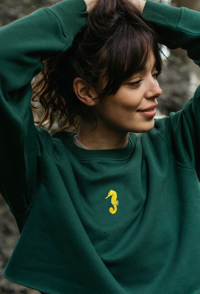 seahorse womens cropped sweatshirt Big Wild Thought