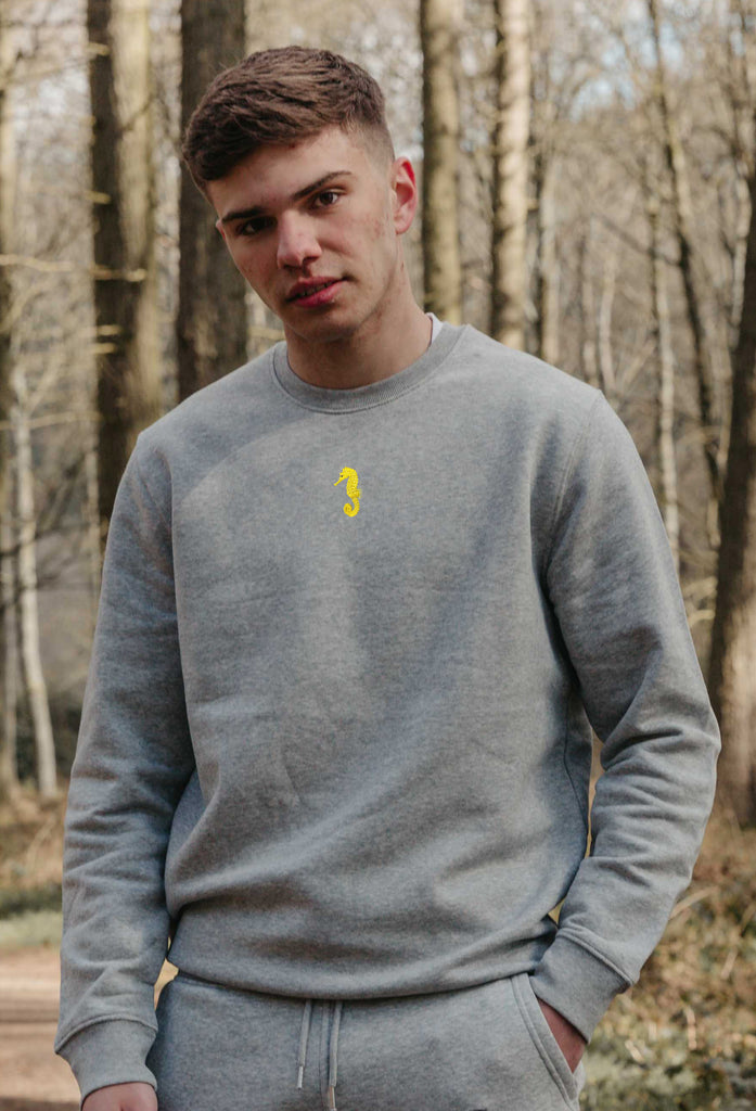 seahorse mens sweatshirt Big Wild Thought