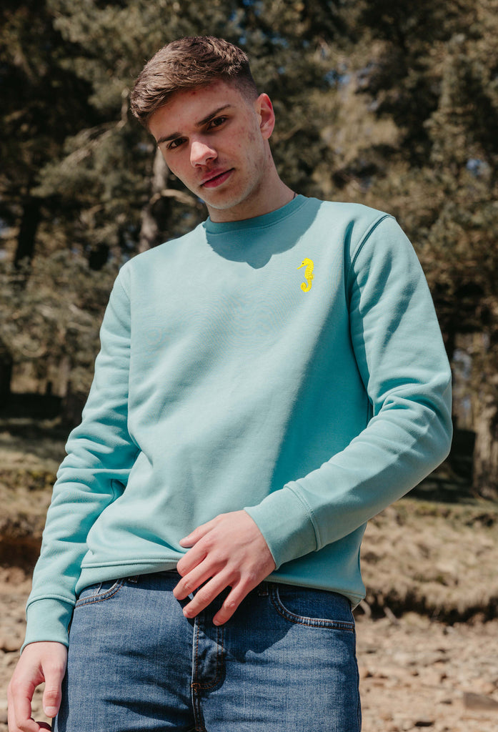 seahorse mens sweatshirt Big Wild Thought