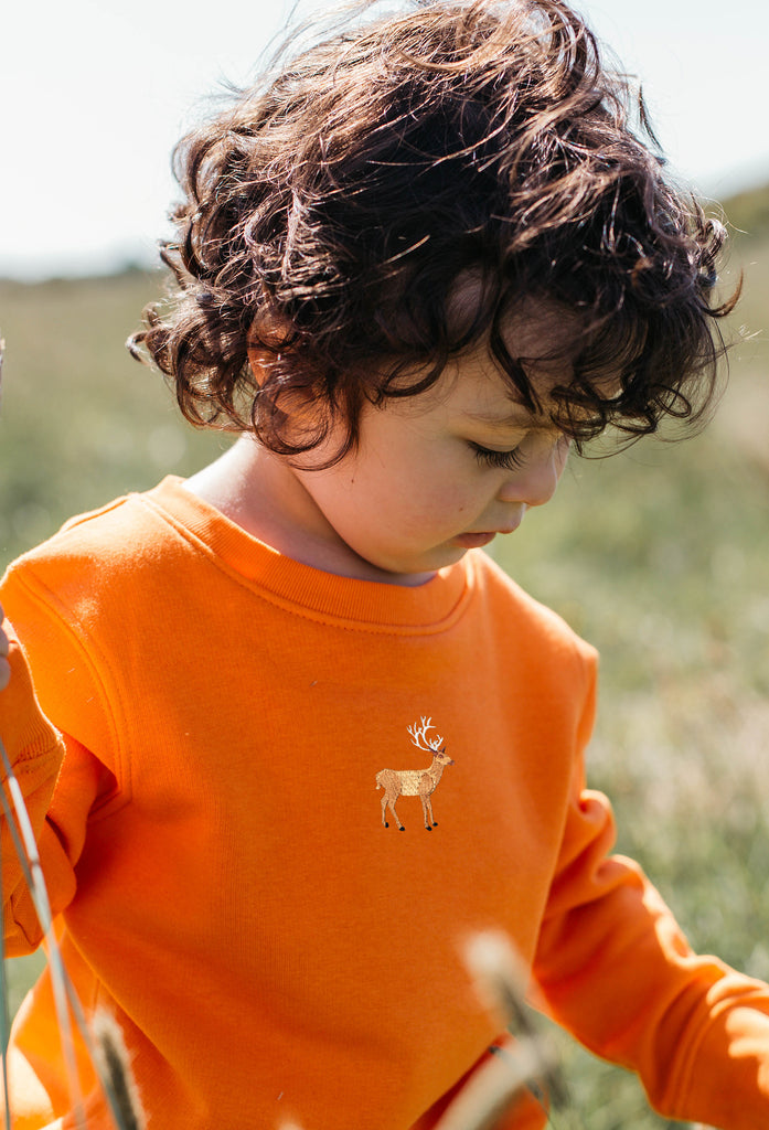 stag childrens sweatshirt Big Wild Thought