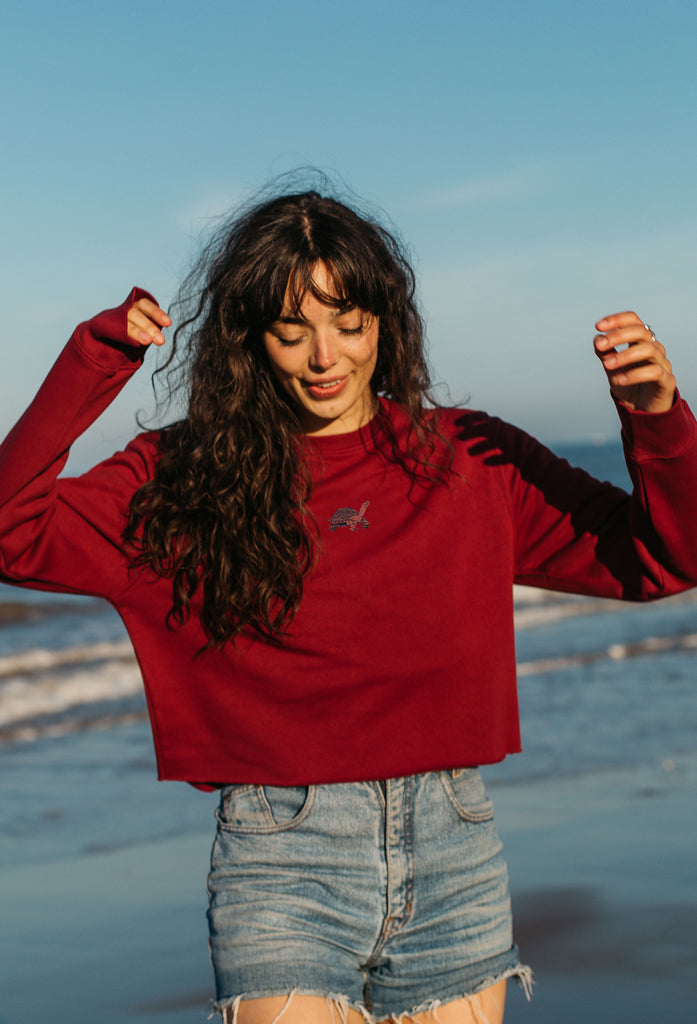 galapagos tortoise womens cropped sweatshirt Big Wild Thought