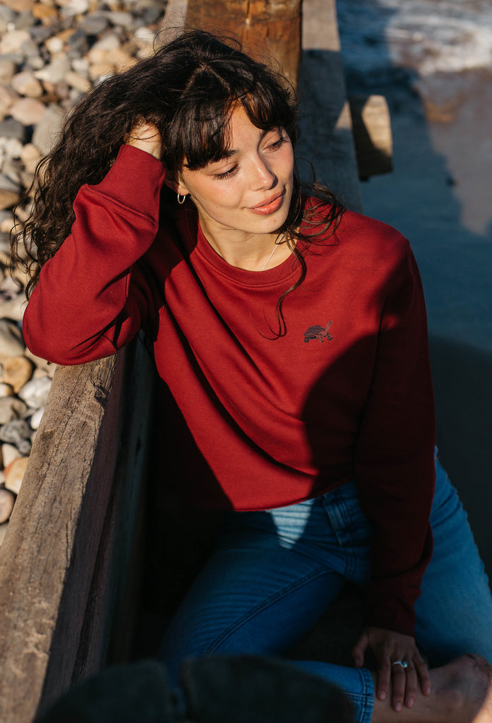 galapagos tortoise womens cropped sweatshirt Big Wild Thought
