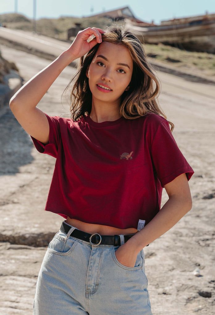 galapagos tortoise womens cropped t-shirt Big Wild Thought