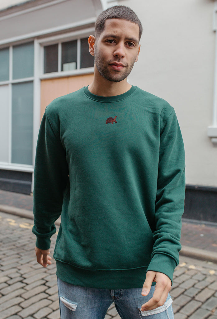 Galapagos Tortoise Unisex Embroidered Organic Sustainable Sweatshirt Jumper Big Wild Thought