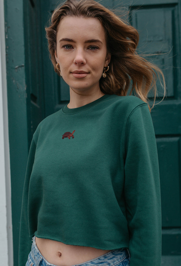 galapagos tortoise womens cropped sweatshirt Big Wild Thought