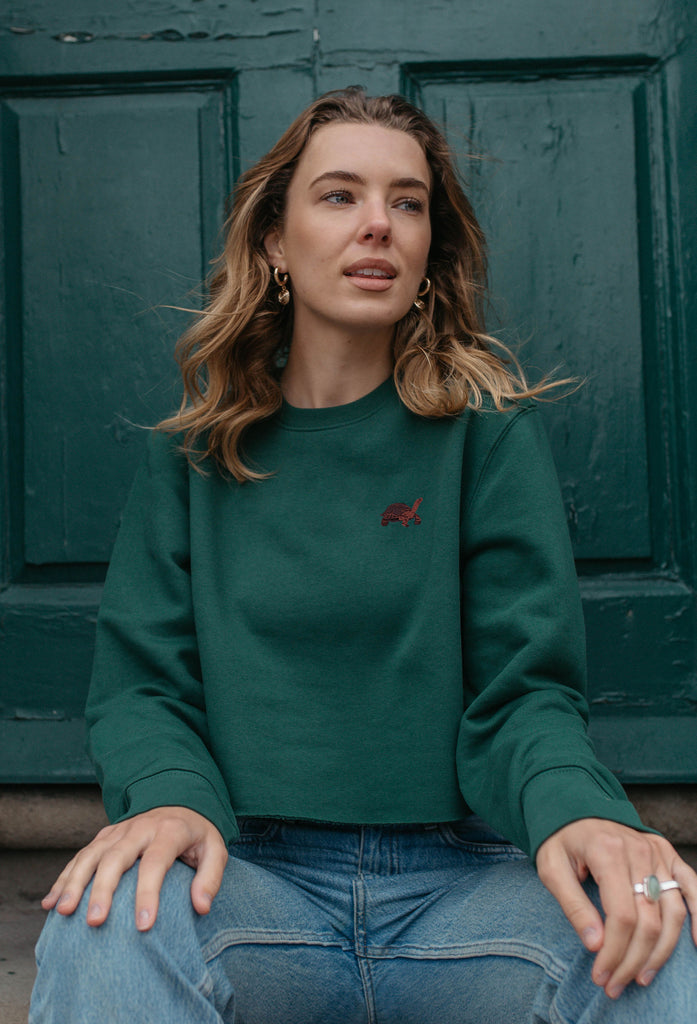 galapagos tortoise womens cropped sweatshirt Big Wild Thought
