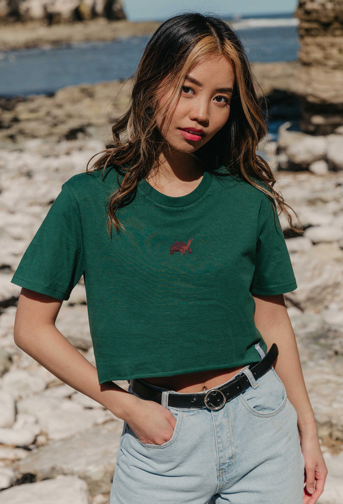 galapagos tortoise womens cropped t-shirt Big Wild Thought