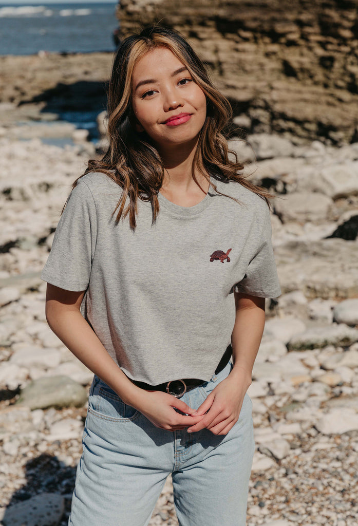 galapagos tortoise womens cropped t-shirt Big Wild Thought