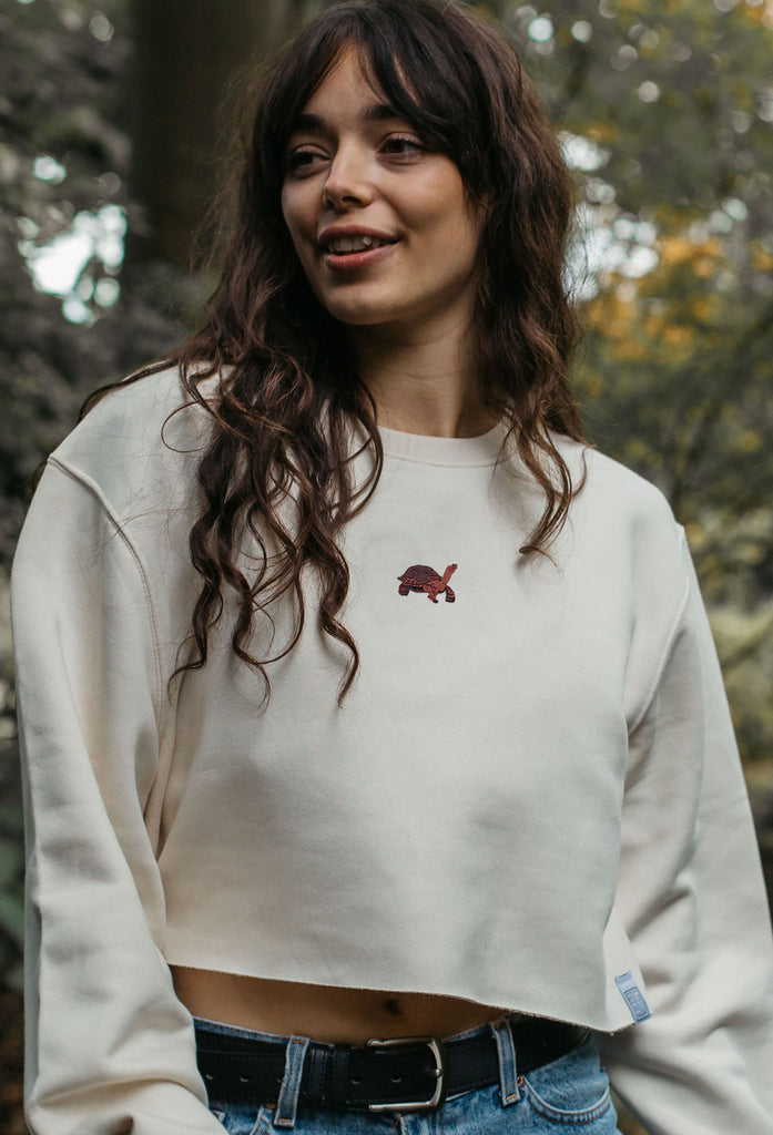 galapagos tortoise womens cropped sweatshirt Big Wild Thought
