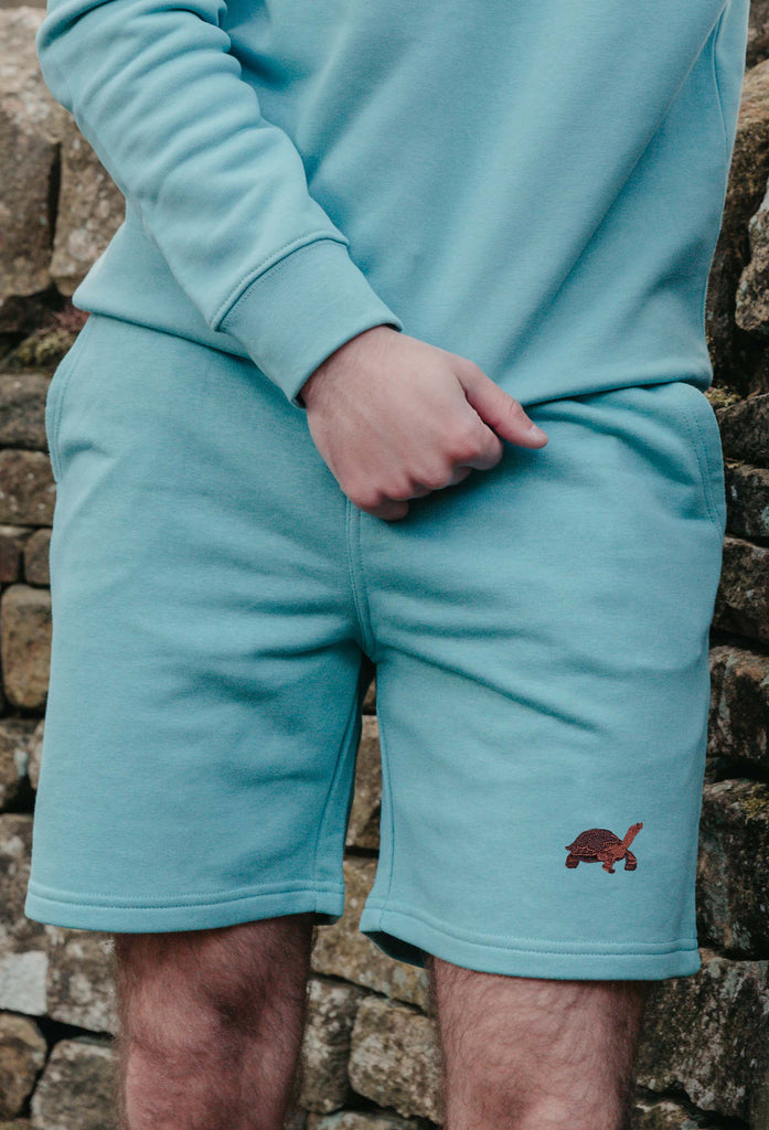 galapagos tortoise mens sweat shorts Big Wild Thought