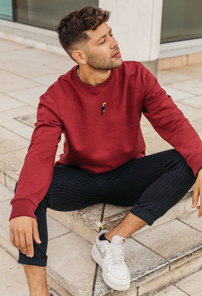 toucan mens sweatshirt Big Wild Thought