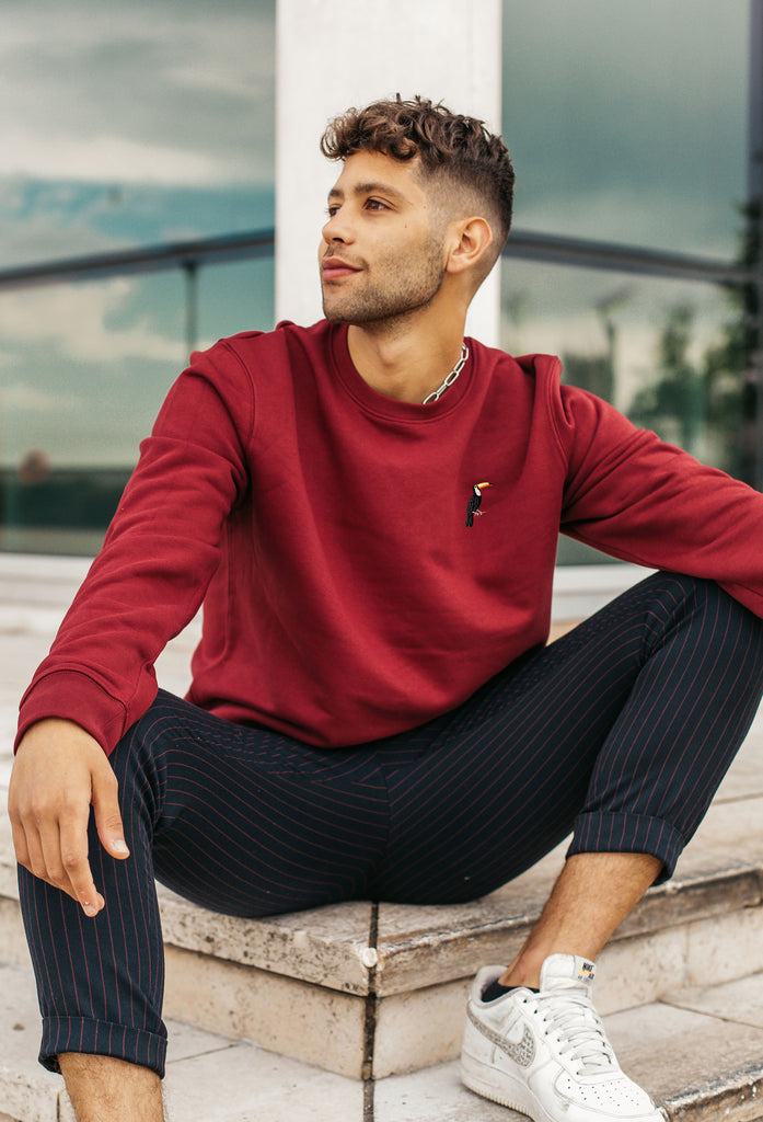 toucan mens sweatshirt Big Wild Thought