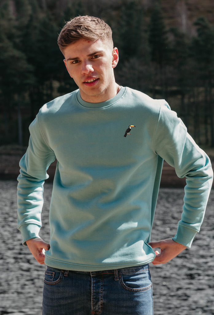 toucan mens sweatshirt Big Wild Thought