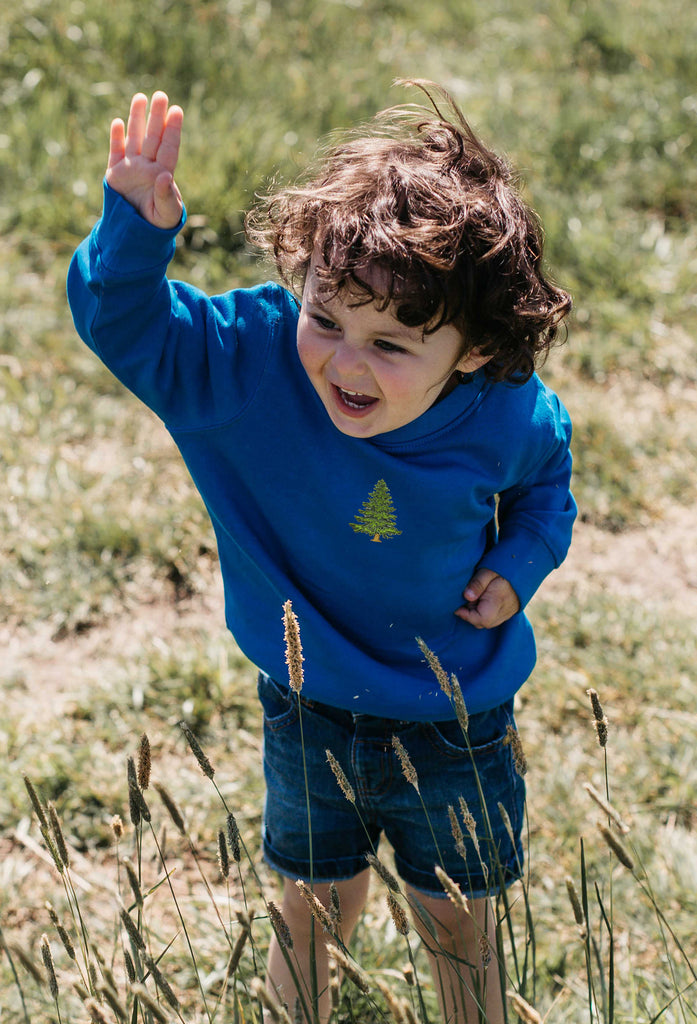 pine tree childrens sweatshirt Big Wild Thought