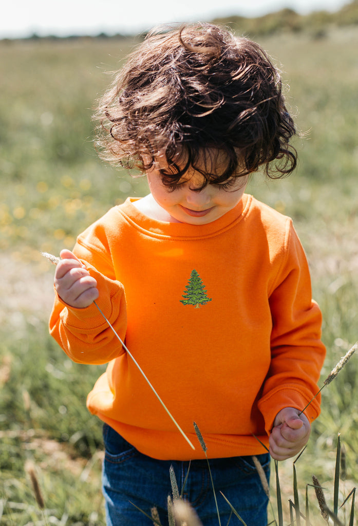 pine tree childrens sweatshirt Big Wild Thought