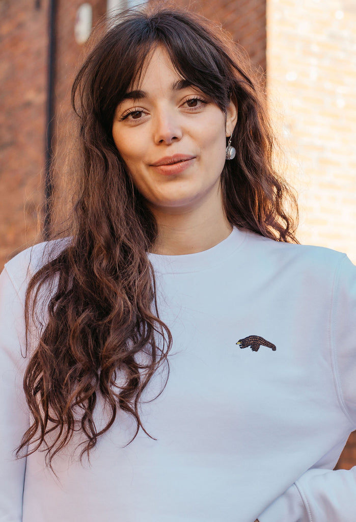 pangolin womens sweatshirt Big Wild Thought
