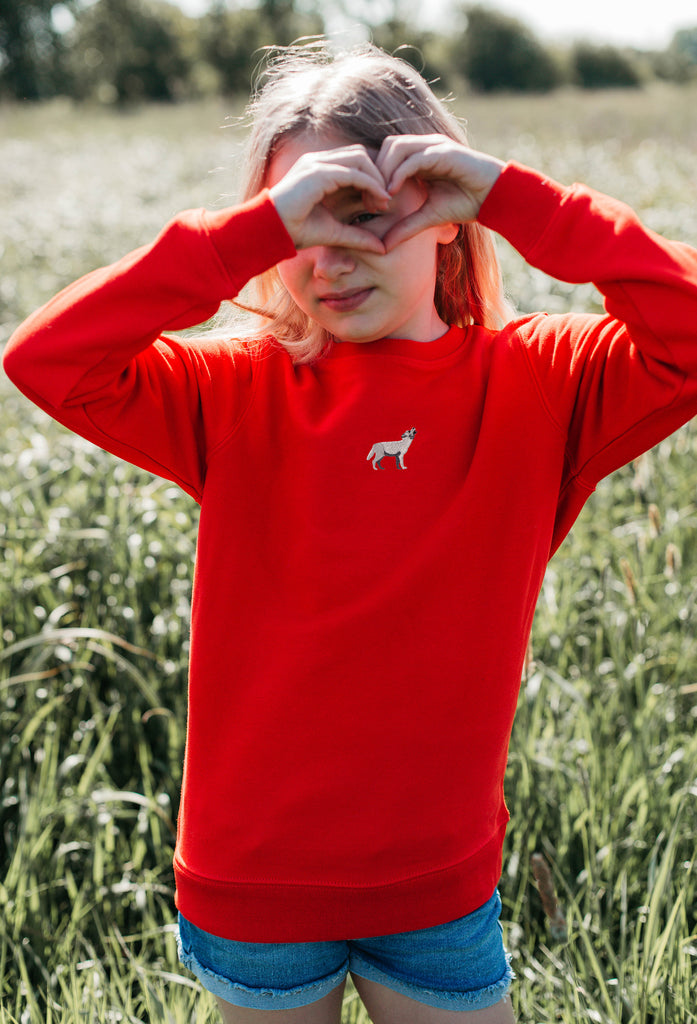 grey wolf childrens sweatshirt Big Wild Thought