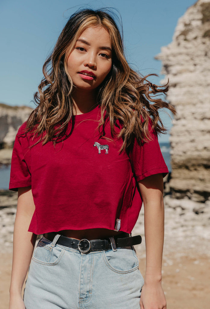 zebra womens cropped t-shirt Big Wild Thought